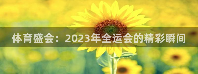 凯发官网下载官方客服电话:体育盛会:2023年全运会的精彩瞬
