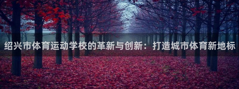 凯发官网下载招商电话:绍兴市体育运动学校的革新与创新:打造城