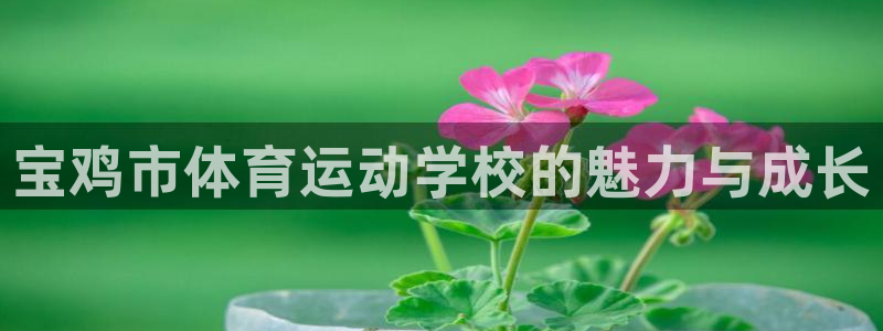 凯发官方正版app集团官网首页:宝鸡市体育运动学校的魅力与成